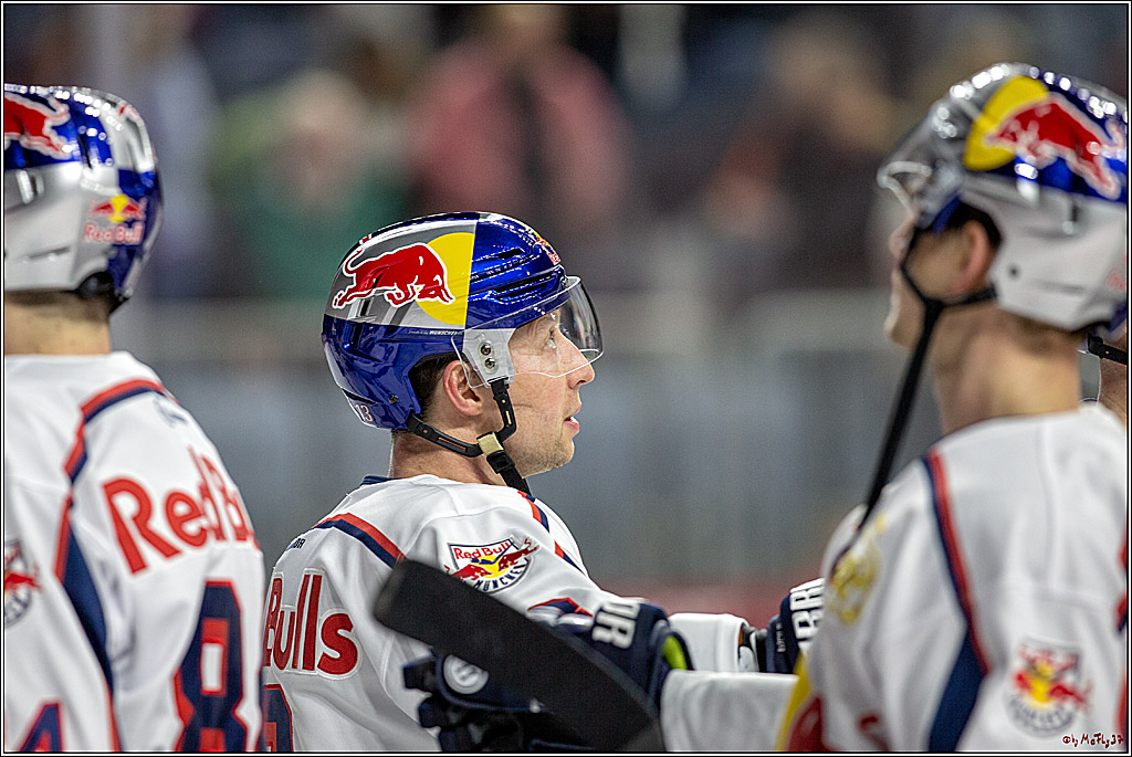 DEL; Koelner Haie - EHC Red Bull Muenchen, 17.02.2019